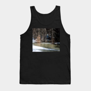 Seasonal melt in the woods Tank Top